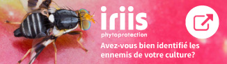 recherche IRIIS