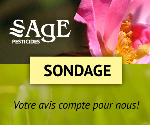 Sondage